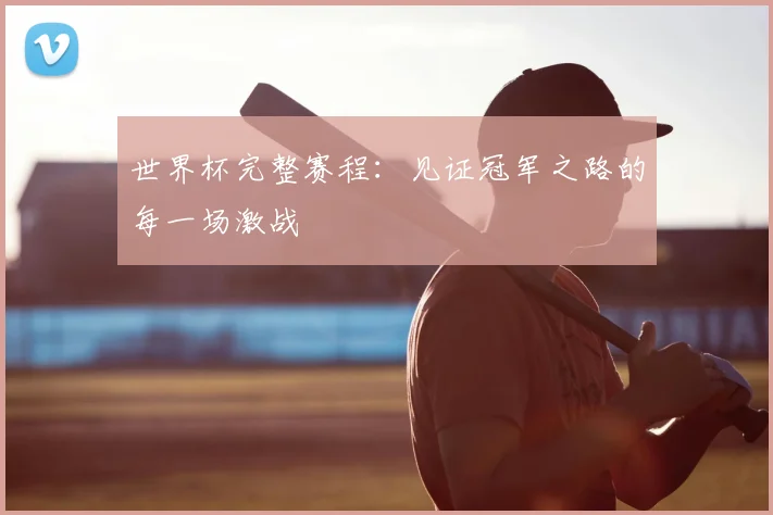 世界杯完整赛程：见证冠军之路的每一场激战