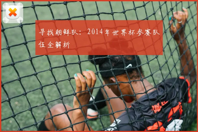 寻找朝鲜队：2014年世界杯参赛队伍全解析