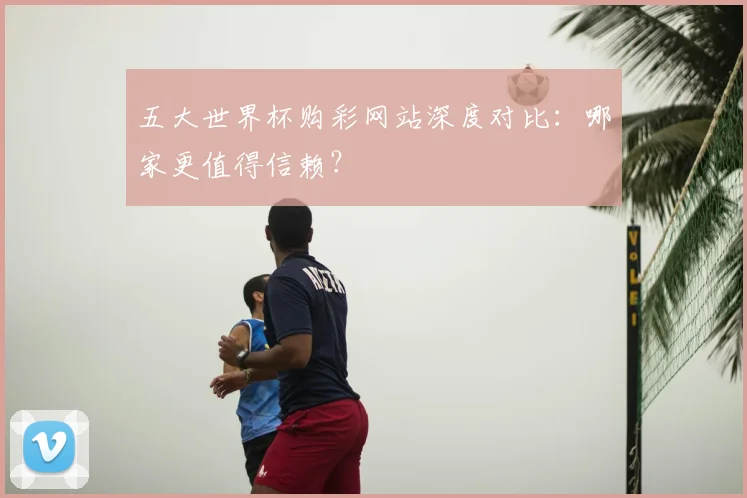 五大世界杯购彩网站深度对比:哪家更值得信赖?