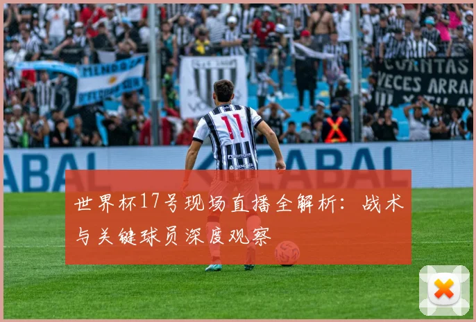 世界杯17号现场直播全解析:战术与关键球员深度观察