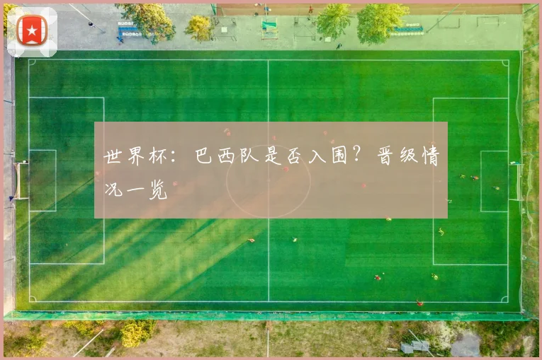世界杯:巴西队是否入围?晋级情况一览