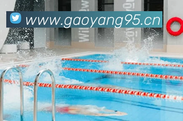 华体网官网主页发展历程